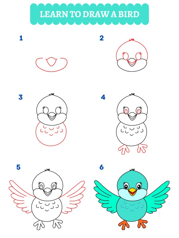 Cum desenezi o pasăre?