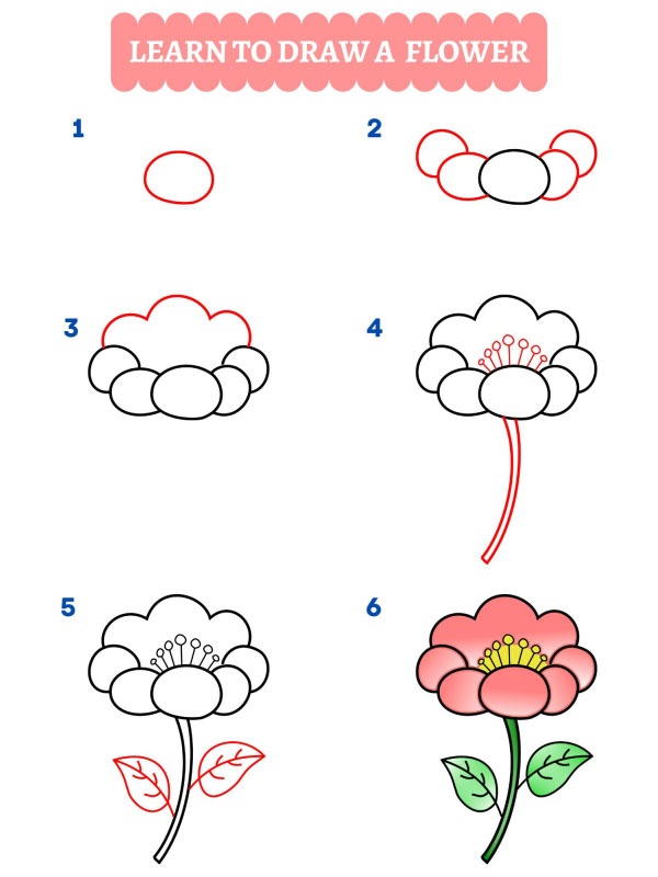 Cum să desenezi o floare
