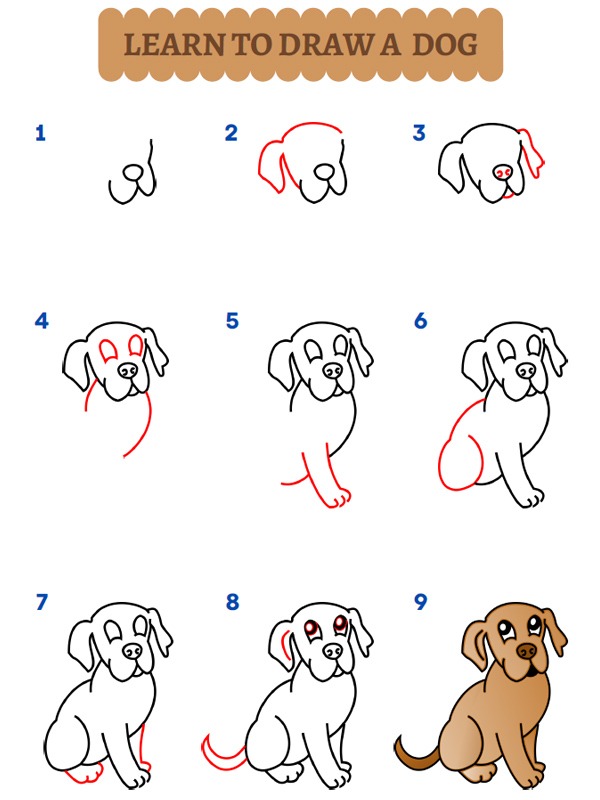 Cum să desenezi un câine