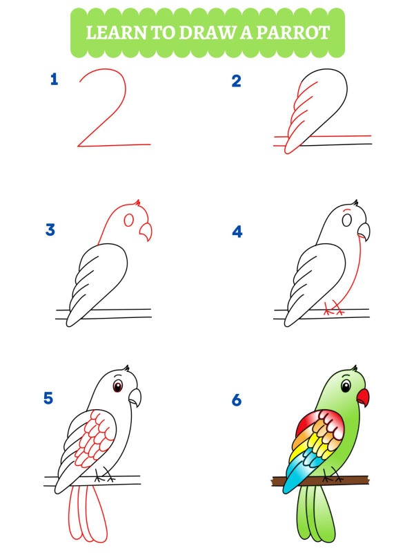 Cum să desenezi un papagal