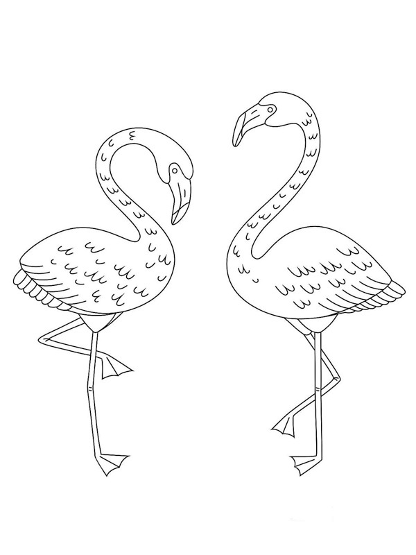 Doi flamingo de colorat