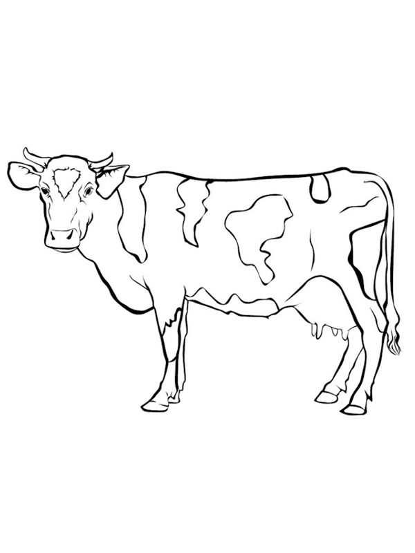 Vacă de colorat