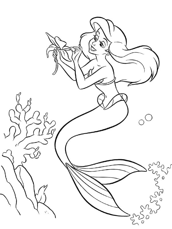 Ariel cu o floare de colorat