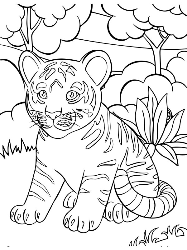 Pui de tigru de colorat