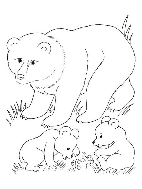 Urs cu pui de colorat