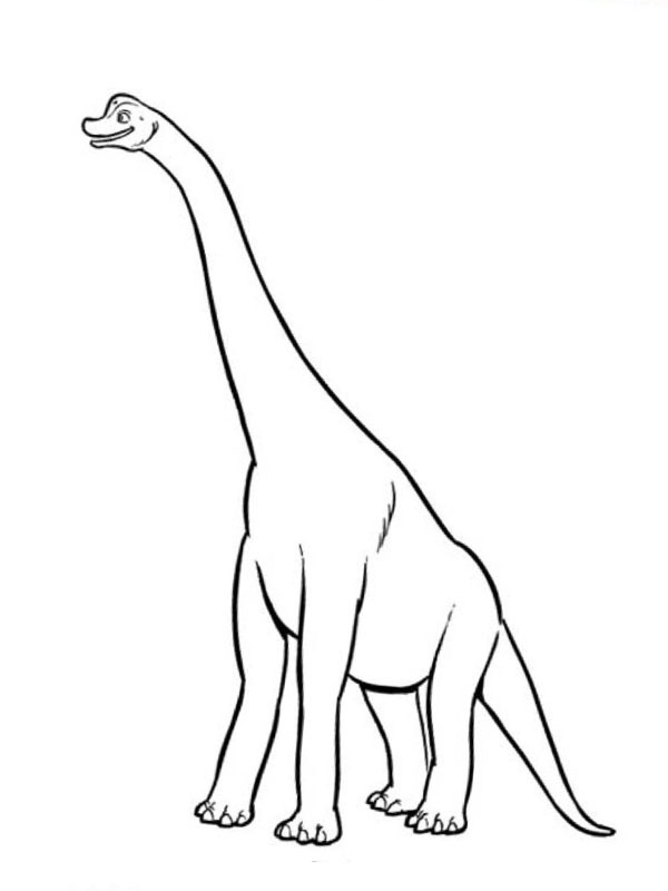 Brachiosaurus de colorat