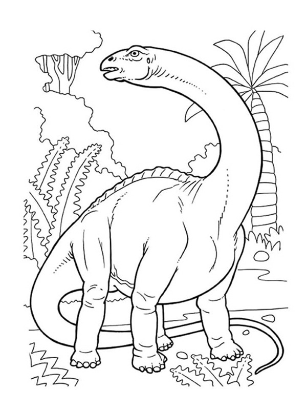 Brontosaurus de colorat
