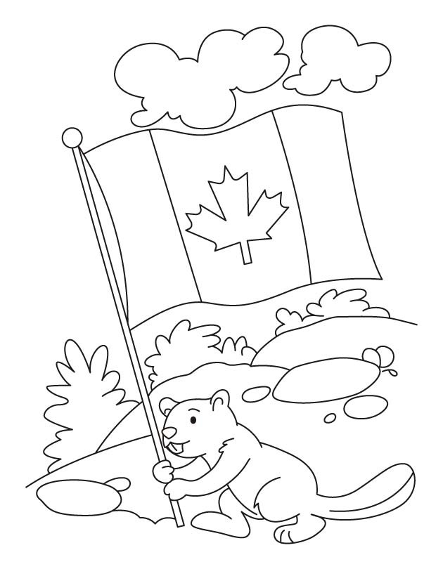 Castor ţine steagul canadian de colorat