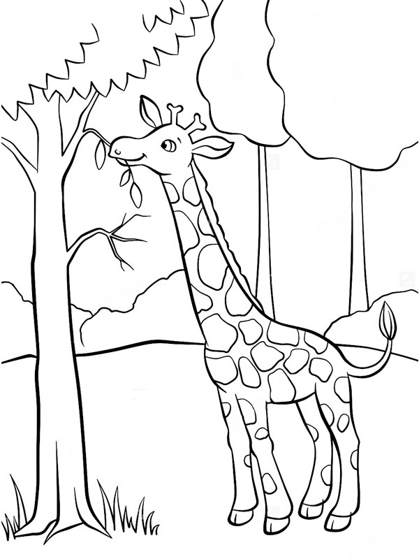 Girafă care mănâncă din copac de colorat