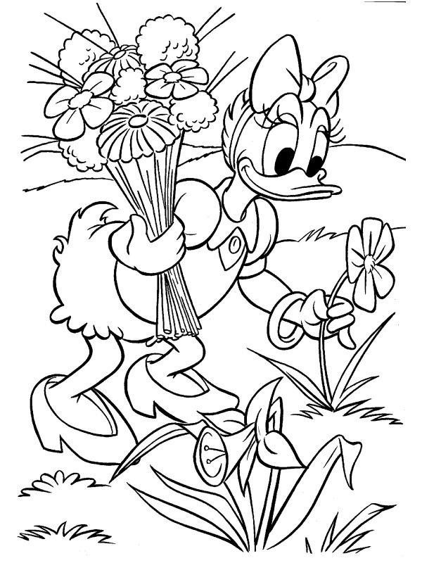 Daisy Duck culege flori de colorat