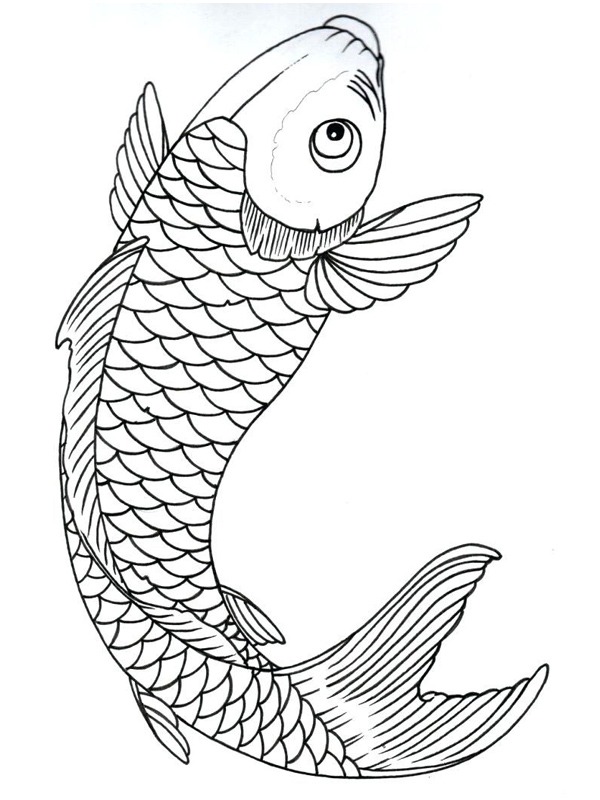 Pește Koi de colorat
