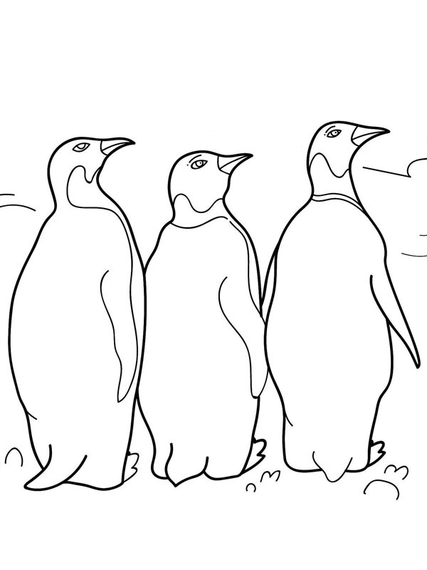 3 pinguini de colorat