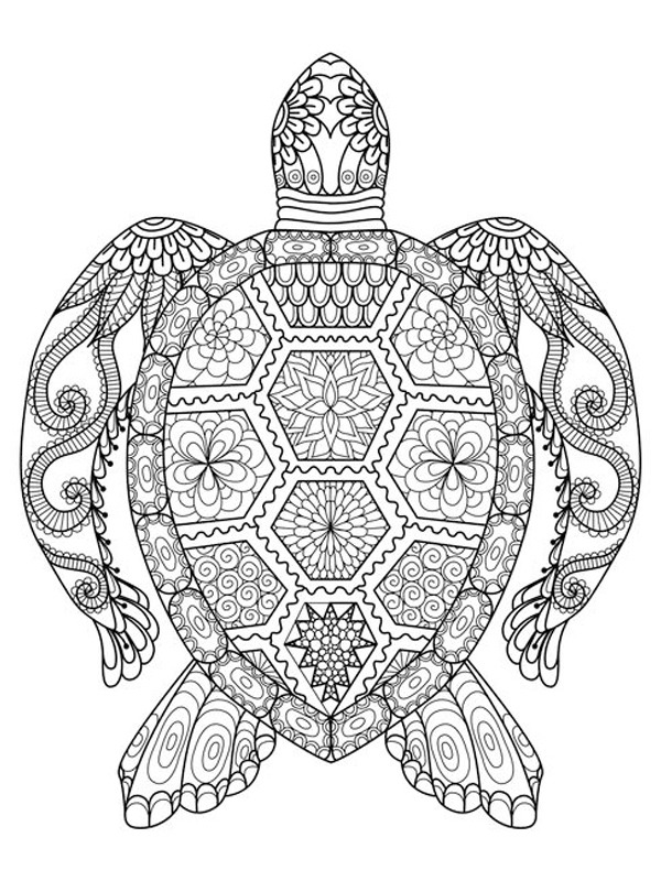 Tatuaj Țestoasă Mandala de colorat