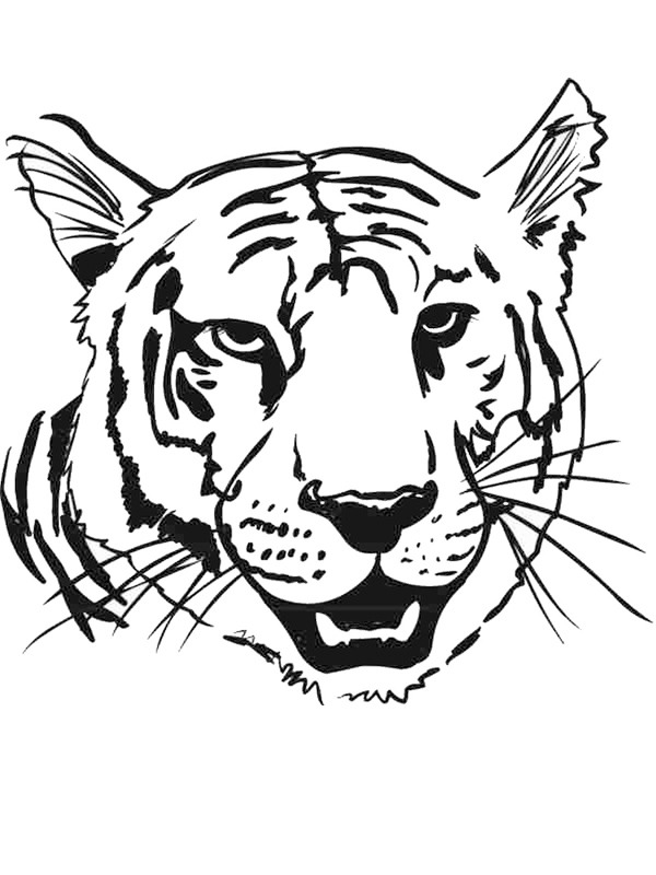 Cap de tigru de colorat
