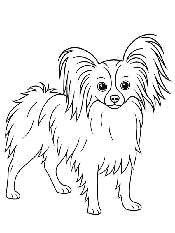 C&acirc;ine Papillon de colorat
