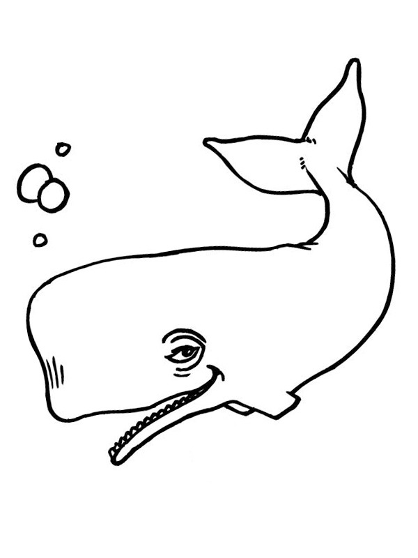 Balenă de colorat