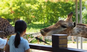 Grădină zoologică